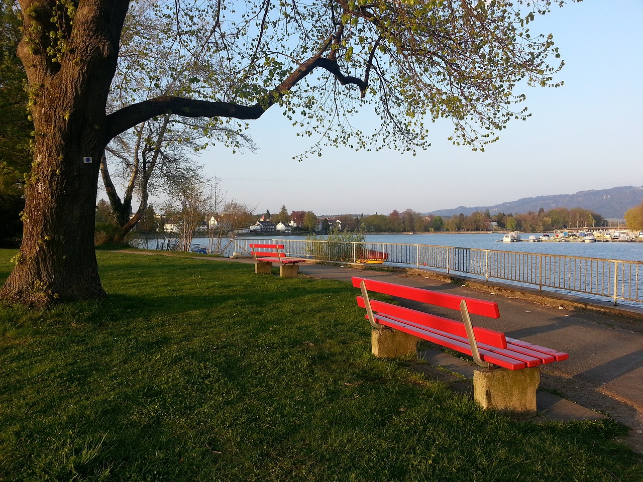 规定所示 规定所示